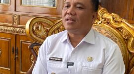 Wakil Bupati Tasikmalaya Asep Sopari Al-ayyubi./Istimewa.///.