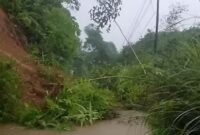 Tebing setinggi 15 meter longsor tutup jalur Bojonggambir - Taraju, Selasa (11/11/2025). Istimewa.///.