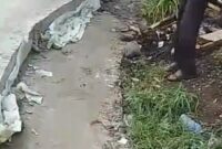 Gambar : lebar Lantai dasar yang tidak tertutup beton