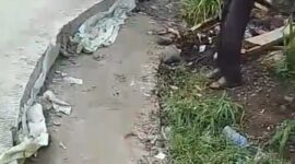 Gambar : lebar Lantai dasar yang tidak tertutup beton