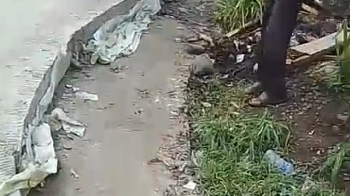 Gambar : lebar Lantai dasar yang tidak tertutup beton