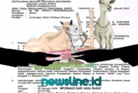 Ilustrasi kasus hewan kurban./ dok Tim newsline.id///.