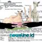 Ilustrasi kasus hewan kurban./ dok Tim newsline.id///.