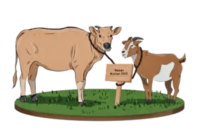 Ilustrasi hewan kurban./Istimewa.///.