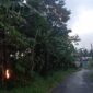 Kebakaran kabel listrik terjadi di Kampung Nagrog Tonggoh RW 6, Desa Ciadeg, Selasa (3/2/2026)