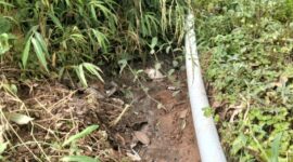 Warga Jalan Kaum Kaler, Desa Taraju, Kecamatan Taraju, Kabupaten Tasikmalaya mengeluh masalah limbah dari dapur MBG. 