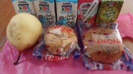 Paket MBG yang diterima ibu hamil di Kecamatan Culamega, Kabupaten Tasikmalaya. (*)