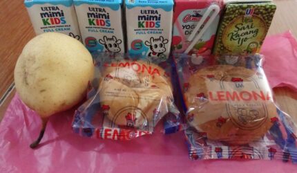 Paket MBG yang diterima ibu hamil di Kecamatan Culamega, Kabupaten Tasikmalaya. (*)