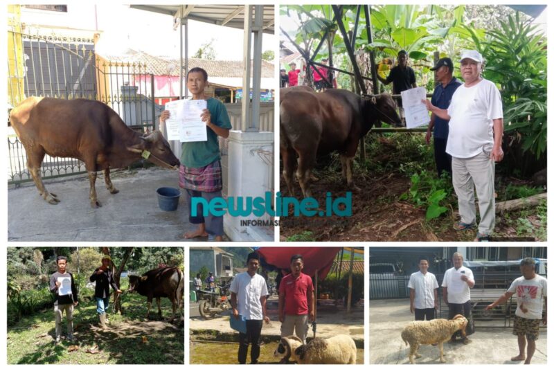 Caption: Penyaluran bantuan hewan kurban sapi dan domba dari Pemkab Tasikmalaya ke DKM dan Ponpes//jabar.newsline.id//