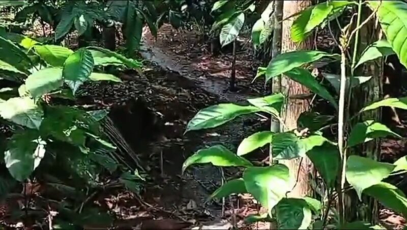 Limbah cair mencemari lingkungan Desa Sukanagara, Kecamatan Tanjungjaya, Kabupaten Tasikmalaya, Rabu (7/5/2026). (Istimewa).